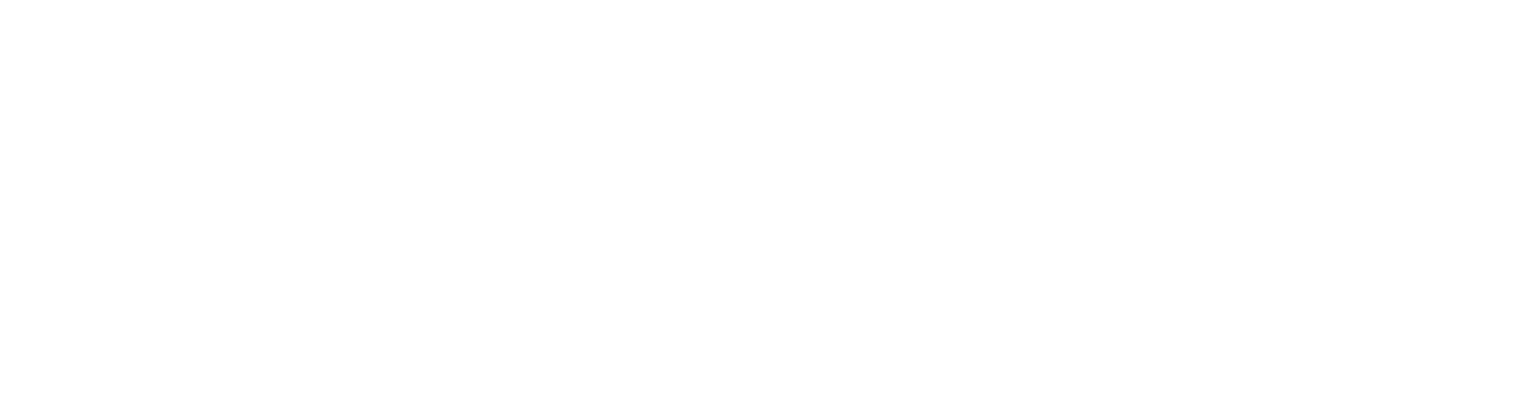 Bluestream logo white